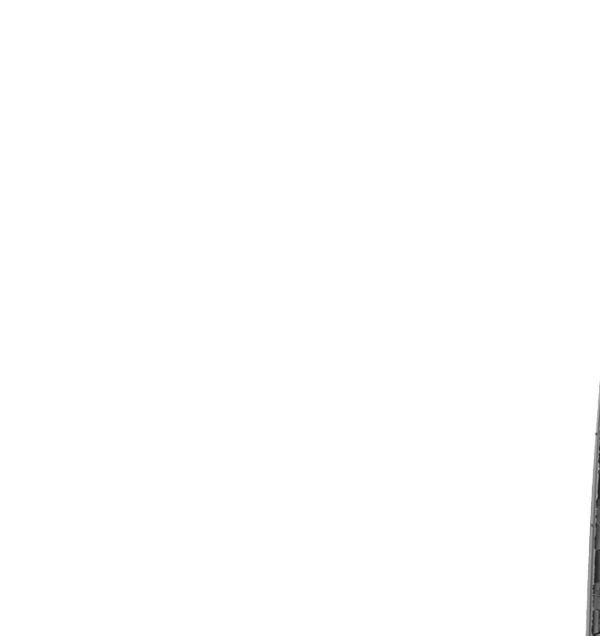 Etichetta pneumatici UE BLIZZAK W810, 205/75 R16 110R - Grado di aderenza su bagnato: A, Livello di efficienza nei consumi: D, Rumore nominale: 75dB,  Pneumatico da neve