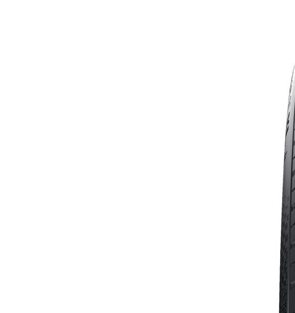 Etichetta pneumatici UE W.CON TS 860 S, 275/35 R20 102V - Grado di aderenza su bagnato: C, Livello di efficienza nei consumi: D, Rumore nominale: 73dB,  Pneumatico da neve