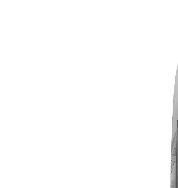 Etichetta pneumatici UE PILOT ALPIN 5, 305/30 R21 104W - Grado di aderenza su bagnato: C, Livello di efficienza nei consumi: C, Rumore nominale: 73dB,  Pneumatico da neve